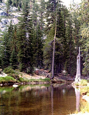 The keg at camp