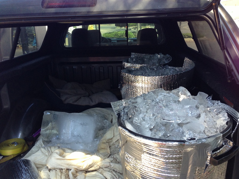 Two kegs loaded in a truck bed packed in ice, ready for transport, 2013