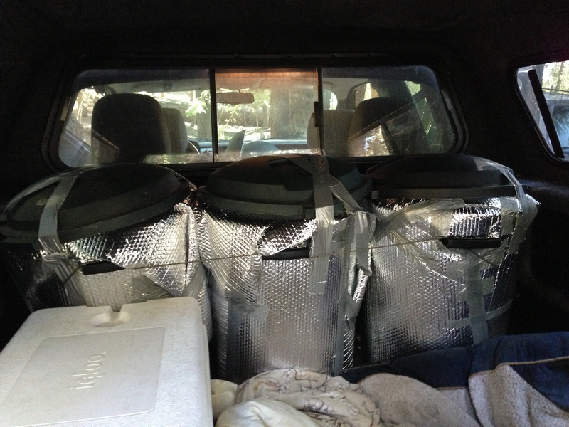 Kegs in back seat of SUV wrapped in foil — three kegs filling the entire rear cargo area