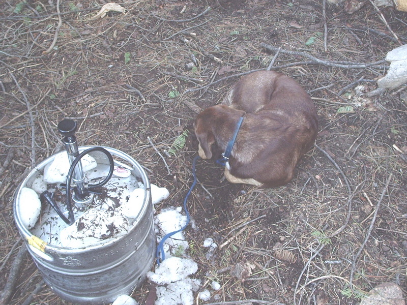 Keg with pump in camp, dog sleeping beside it