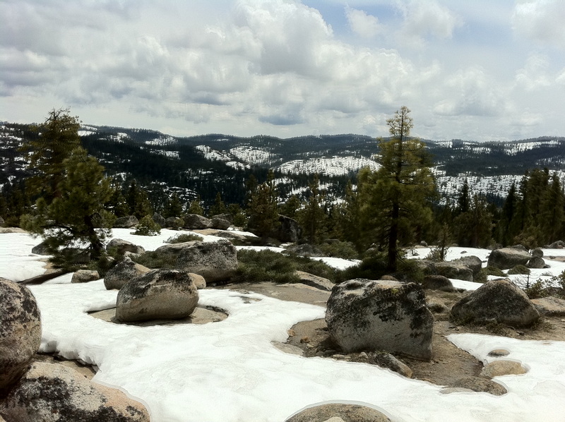 Snow-covered Sierra terrain with pines and granite boulders